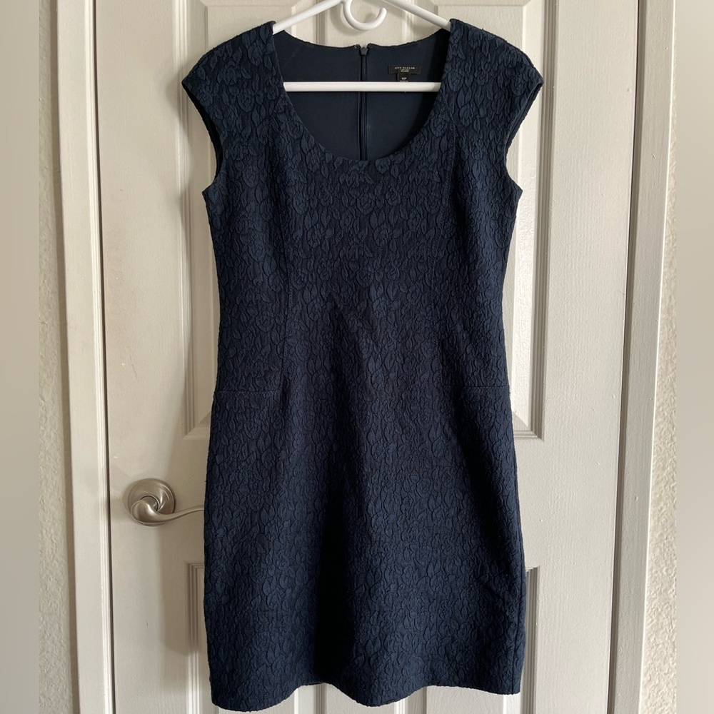 Little Navy Dress by Ann Taylor